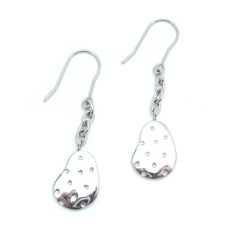STEELX Cubic Zirconia Dotted Kidney Dangle Hook-style Earrings - ER119